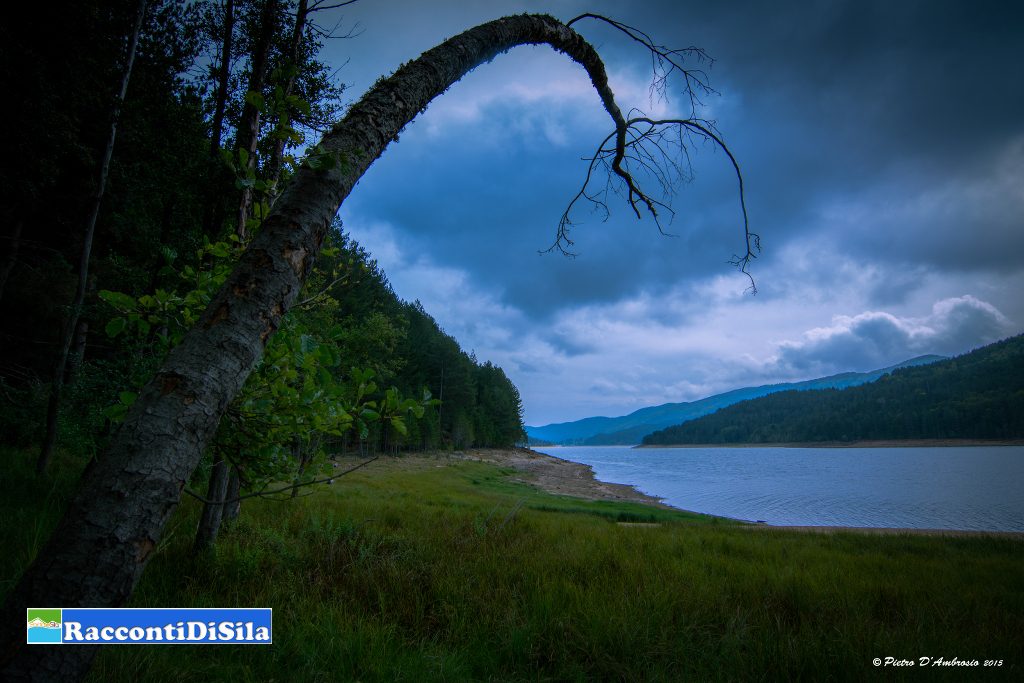 05_Pietro_DAmbrosio_a