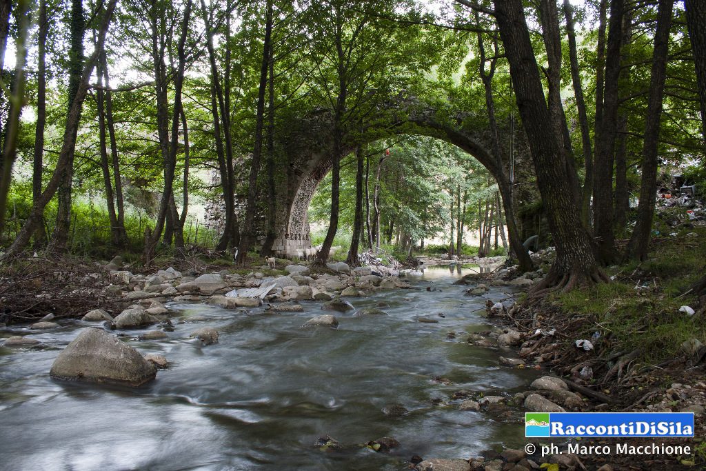 02_marco_macchione_a